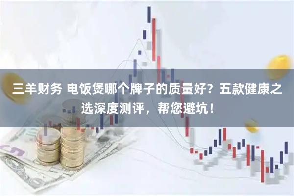 三羊财务 电饭煲哪个牌子的质量好？五款健康之选深度测评，帮您避坑！
