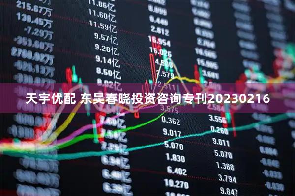 天宇优配 东吴春晓投资咨询专刊20230216