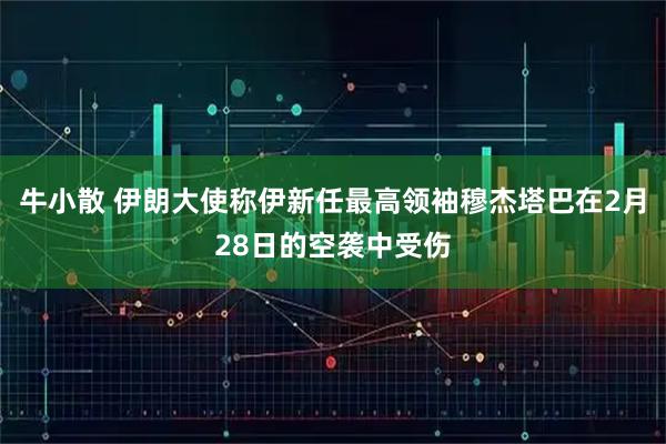 牛小散 伊朗大使称伊新任最高领袖穆杰塔巴在2月28日的空袭中受伤