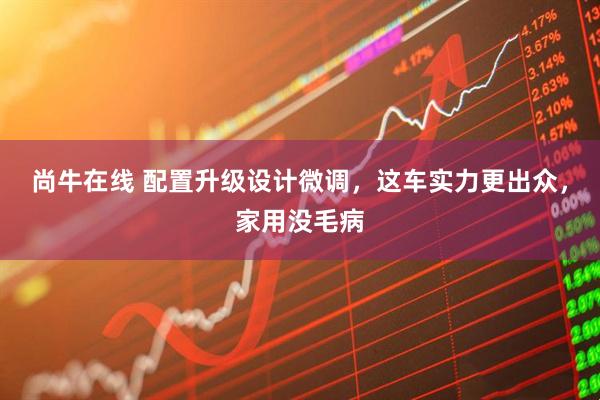 尚牛在线 配置升级设计微调，这车实力更出众，家用没毛病