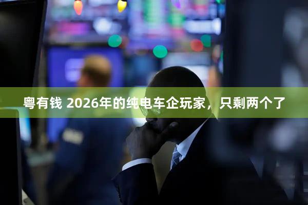 粤有钱 2026年的纯电车企玩家，只剩两个了