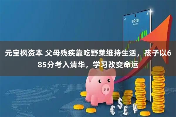 元宝枫资本 父母残疾靠吃野菜维持生活，孩子以685分考入清华，学习改变命运