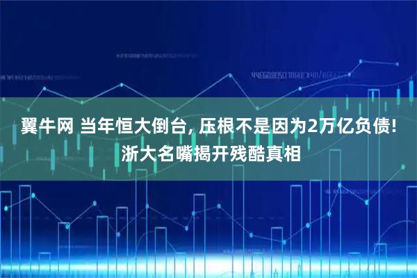 翼牛网 当年恒大倒台, 压根不是因为2万亿负债! 浙大名嘴揭开残酷真相