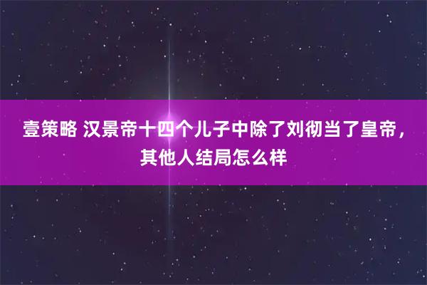 壹策略 汉景帝十四个儿子中除了刘彻当了皇帝，其他人结局怎么样