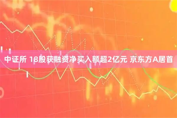 中证所 18股获融资净买入额超2亿元 京东方A居首