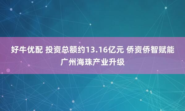 好牛优配 投资总额约13.16亿元 侨资侨智赋能广州海珠产业升级