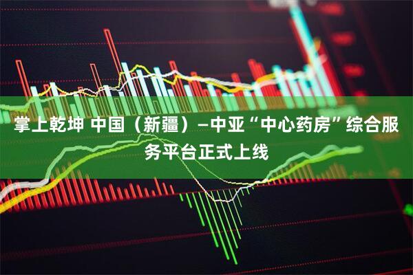 掌上乾坤 中国（新疆）—中亚“中心药房”综合服务平台正式上线