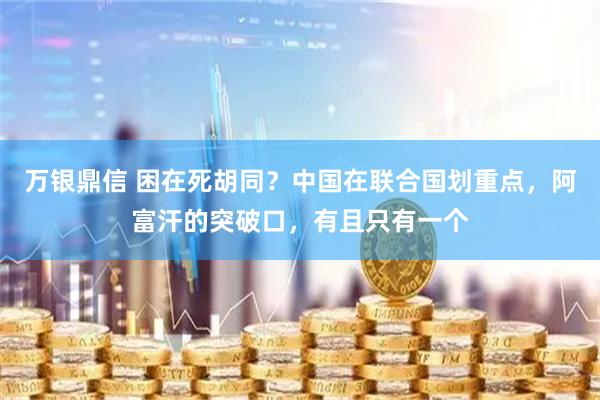 万银鼎信 困在死胡同？中国在联合国划重点，阿富汗的突破口，有且只有一个