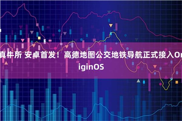 真牛所 安卓首发！高德地图公交地铁导航正式接入OriginOS