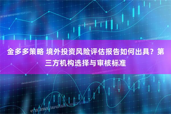 金多多策略 境外投资风险评估报告如何出具？第三方机构选择与审核标准