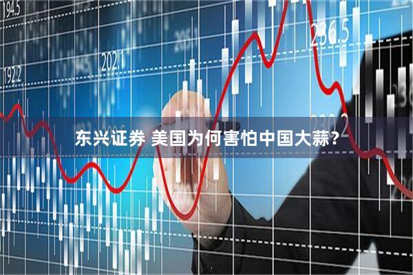 东兴证券 美国为何害怕中国大蒜?