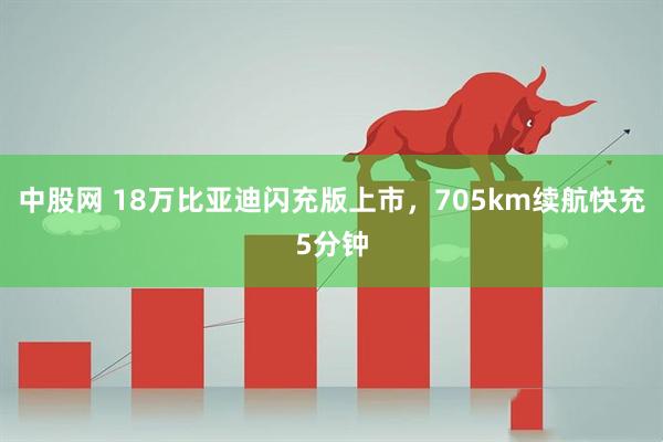 中股网 18万比亚迪闪充版上市，705km续航快充5分钟