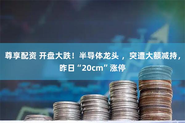 尊享配资 开盘大跌！半导体龙头 ，突遭大额减持，昨日“20cm”涨停