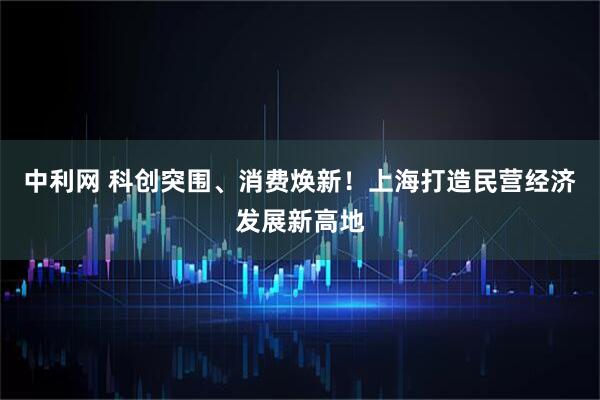 中利网 科创突围、消费焕新！上海打造民营经济发展新高地