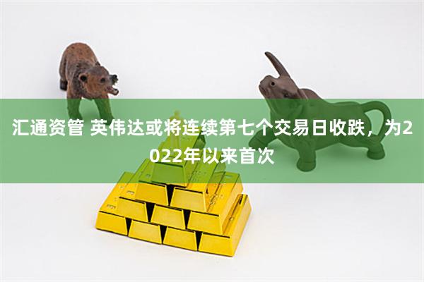 汇通资管 英伟达或将连续第七个交易日收跌，为2022年以来首次